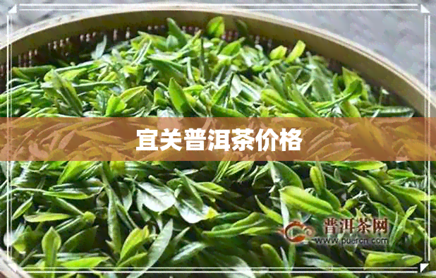 宜关普洱茶价格