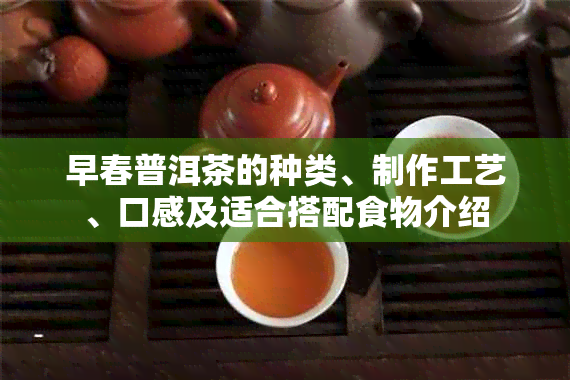 早春普洱茶的种类、制作工艺、口感及适合搭配食物介绍