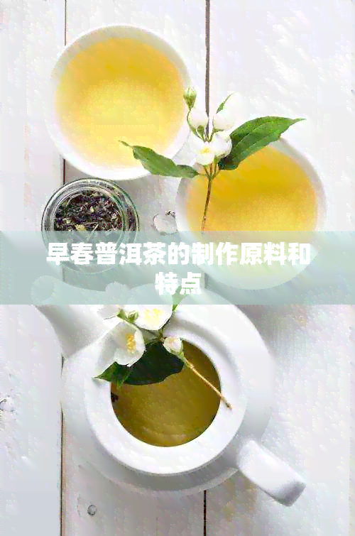 早春普洱茶的制作原料和特点