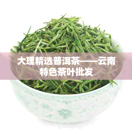 大理精选普洱茶——云南特色茶叶批发