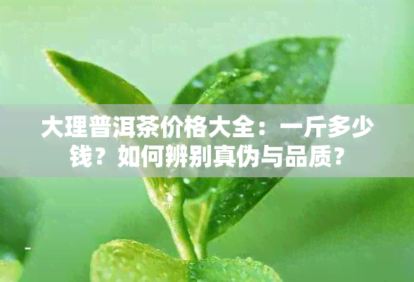 大理普洱茶价格大全：一斤多少钱？如何辨别真伪与品质？