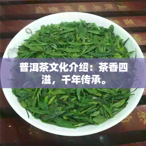 普洱茶文化介绍：茶香四溢，千年传承。