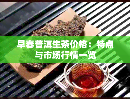 早春普洱生茶价格：特点与市场行情一览