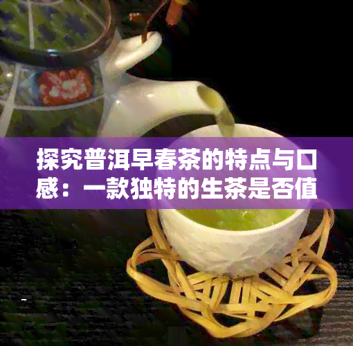 探究普洱早春茶的特点与口感：一款独特的生茶是否值得品鉴？