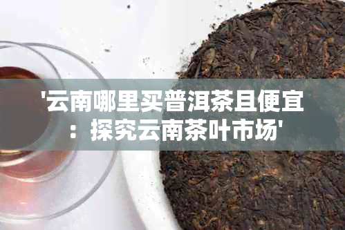 '云南哪里买普洱茶且便宜：探究云南茶叶市场'