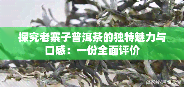 探究老寨子普洱茶的独特魅力与口感：一份全面评价