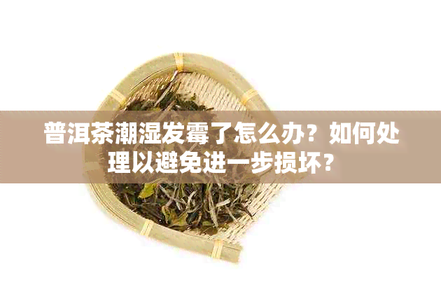 普洱茶潮湿发霉了怎么办？如何处理以避免进一步损坏？