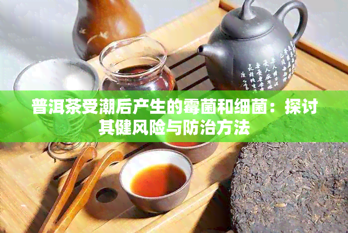 普洱茶受潮后产生的霉菌和细菌：探讨其健风险与防治方法