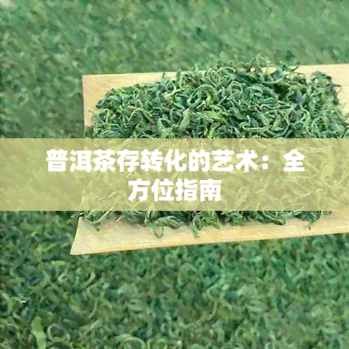 普洱茶存转化的艺术：全方位指南