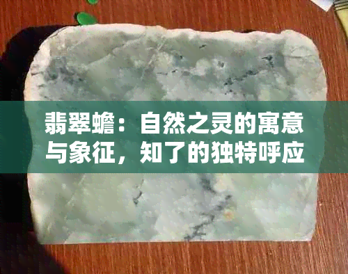 翡翠蟾：自然之灵的寓意与象征，知了的独特呼应