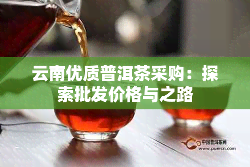 云南优质普洱茶采购：探索批发价格与之路