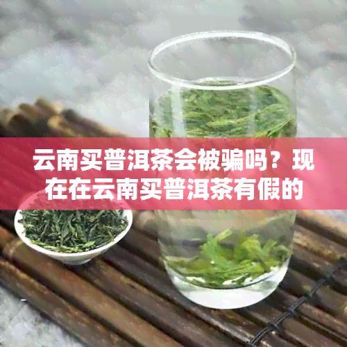 云南买普洱茶会被骗吗？现在在云南买普洱茶有假的吗？