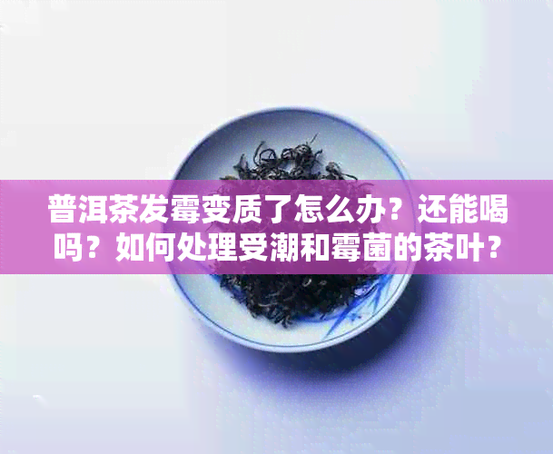 普洱茶发霉变质了怎么办？还能喝吗？如何处理受潮和霉菌的茶叶？