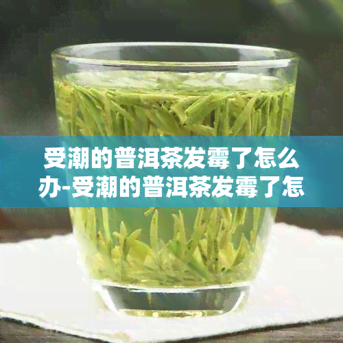 受潮的普洱茶发霉了怎么办-受潮的普洱茶发霉了怎么办呢