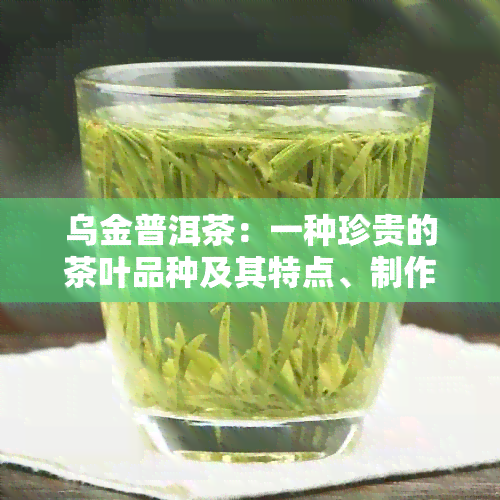 乌金普洱茶：一种珍贵的茶叶品种及其特点、制作工艺和品饮方法全面解析