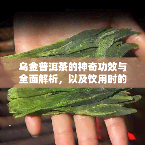 乌金普洱茶的神奇功效与全面解析，以及饮用时的禁忌与价格分析