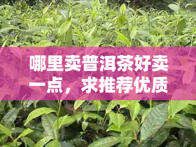 哪里卖普洱茶好卖一点，求推荐优质普洱茶销售地点！