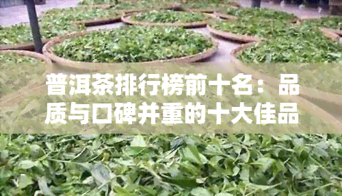 普洱茶排行榜前十名：品质与口碑并重的十大佳品