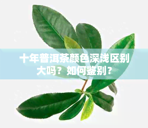 十年普洱茶颜色深浅区别大吗？如何鉴别？