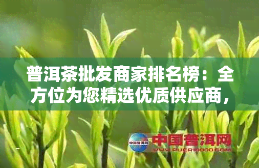 普洱茶批发商家排名榜：全方位为您精选优质供应商，解决您的选购难题！