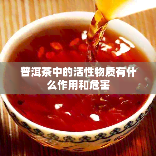 普洱茶中的活性物质有什么作用和危害