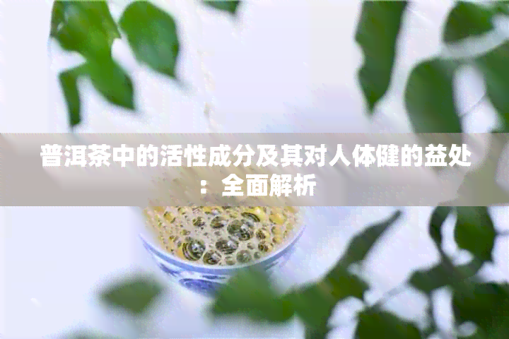 普洱茶中的活性成分及其对人体健的益处：全面解析