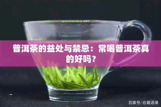 普洱茶的益处与禁忌：常喝普洱茶真的好吗？