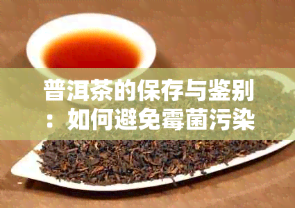 普洱茶的保存与鉴别：如何避免霉菌污染，保证饮用安全？