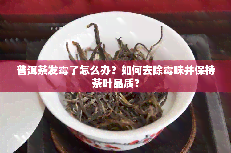 普洱茶发霉了怎么办？如何去除霉味并保持茶叶品质？