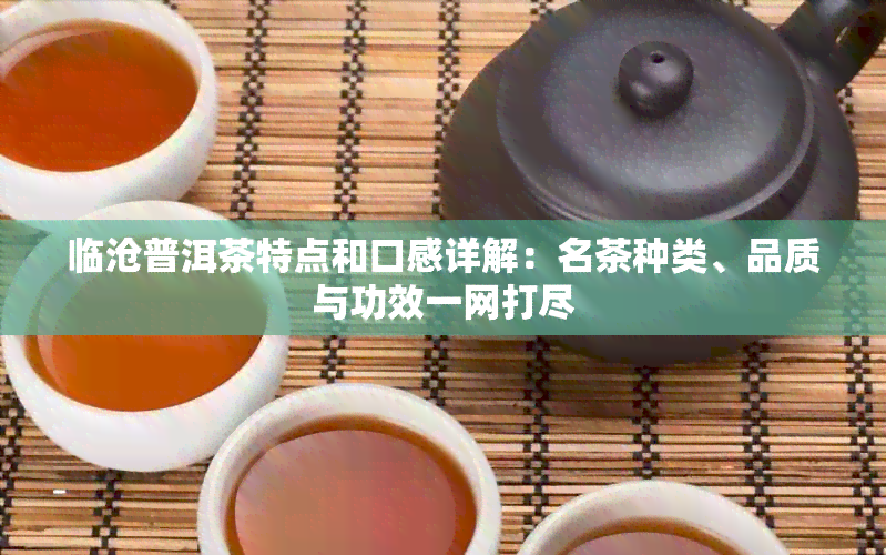 临沧普洱茶特点和口感详解：名茶种类、品质与功效一网打尽