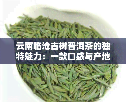 云南临沧古树普洱茶的独特魅力：一款口感与产地共融的茶艺佳品