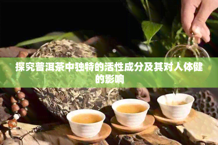 探究普洱茶中独特的活性成分及其对人体健的影响