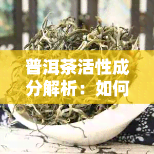 普洱茶活性成分解析：如何感受与功效？探索科学原理与个人体验的结合