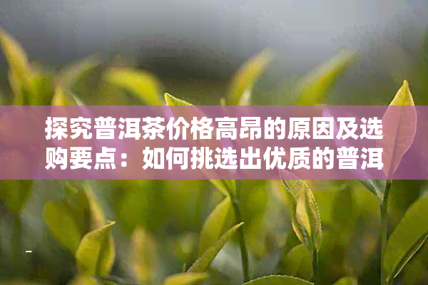 探究普洱茶价格高昂的原因及选购要点：如何挑选出优质的普洱茶？