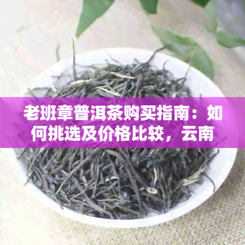 老班章普洱茶购买指南：如何挑选及价格比较，云南特产深度解析