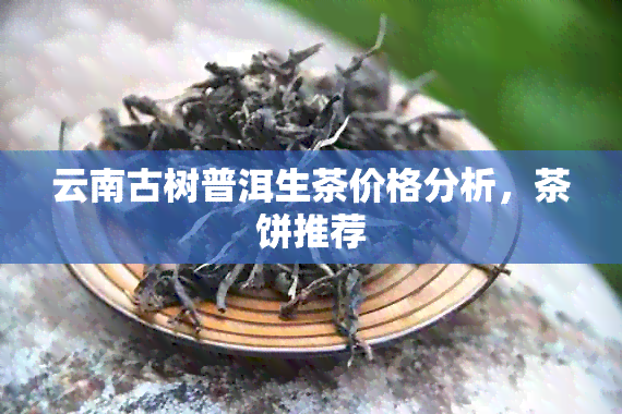 云南古树普洱生茶价格分析，茶饼推荐