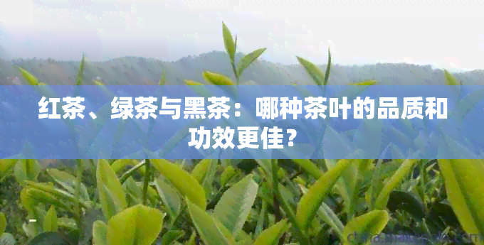 红茶、绿茶与黑茶：哪种茶叶的品质和功效更佳？