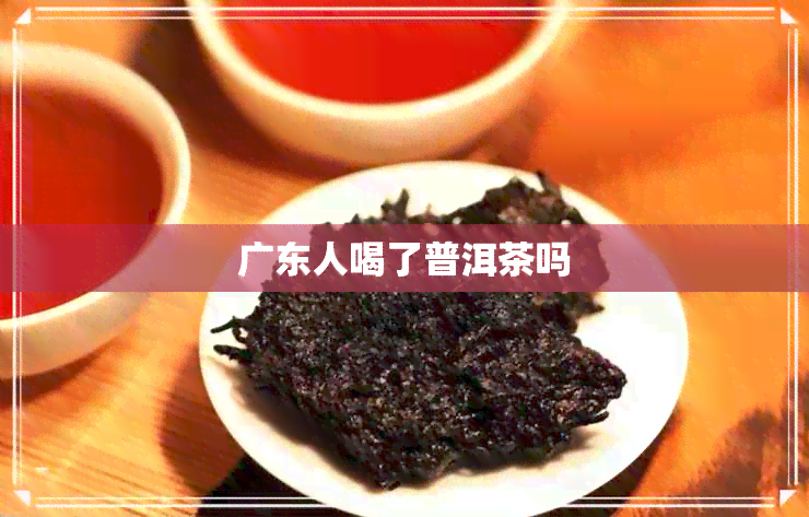 广东人喝了普洱茶吗