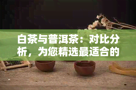 白茶与普洱茶：对比分析，为您精选最适合的茶叶品种