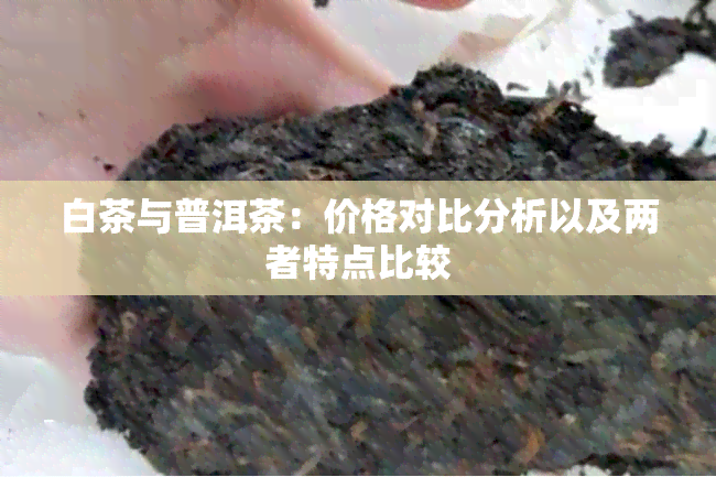 白茶与普洱茶：价格对比分析以及两者特点比较