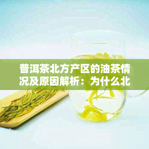 普洱茶北方产区的油茶情况及原因解析：为什么北方产区的普洱茶出油多？