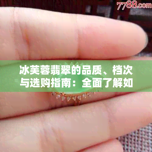 冰芙蓉翡翠的品质、档次与选购指南：全面了解如何挑选和评估翡翠饰品