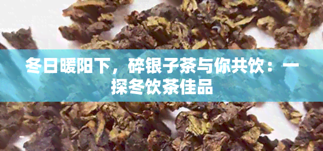 冬日暖阳下，碎银子茶与你共饮：一探冬饮茶佳品