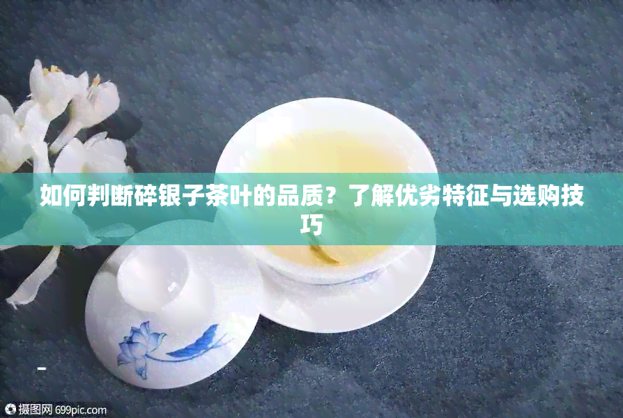 如何判断碎银子茶叶的品质？了解优劣特征与选购技巧