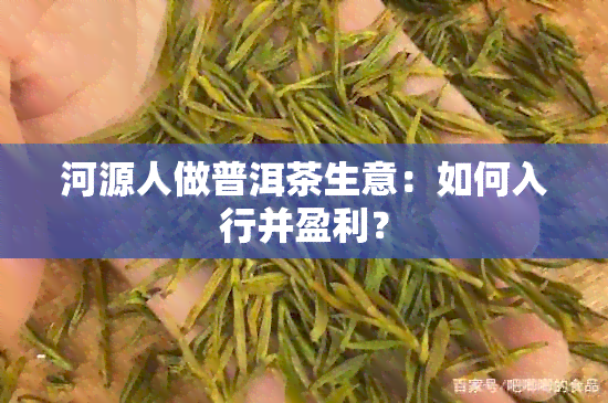 河源人做普洱茶生意：如何入行并盈利？