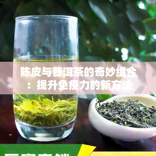 陈皮与普洱茶的奇妙组合：提升免疫力的新方法