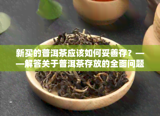 新买的普洱茶应该如何妥善存？——解答关于普洱茶存放的全面问题