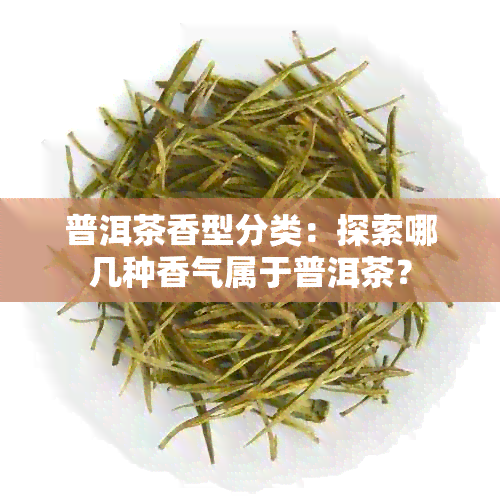 普洱茶香型分类：探索哪几种香气属于普洱茶？