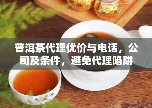 普洱茶代理优价与电话，公司及条件，避免代理陷阱