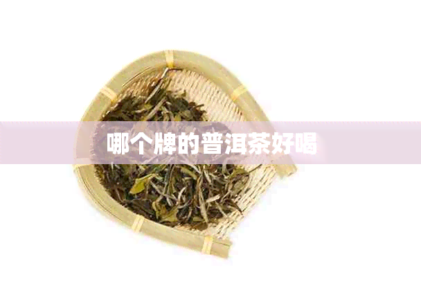 哪个牌的普洱茶好喝